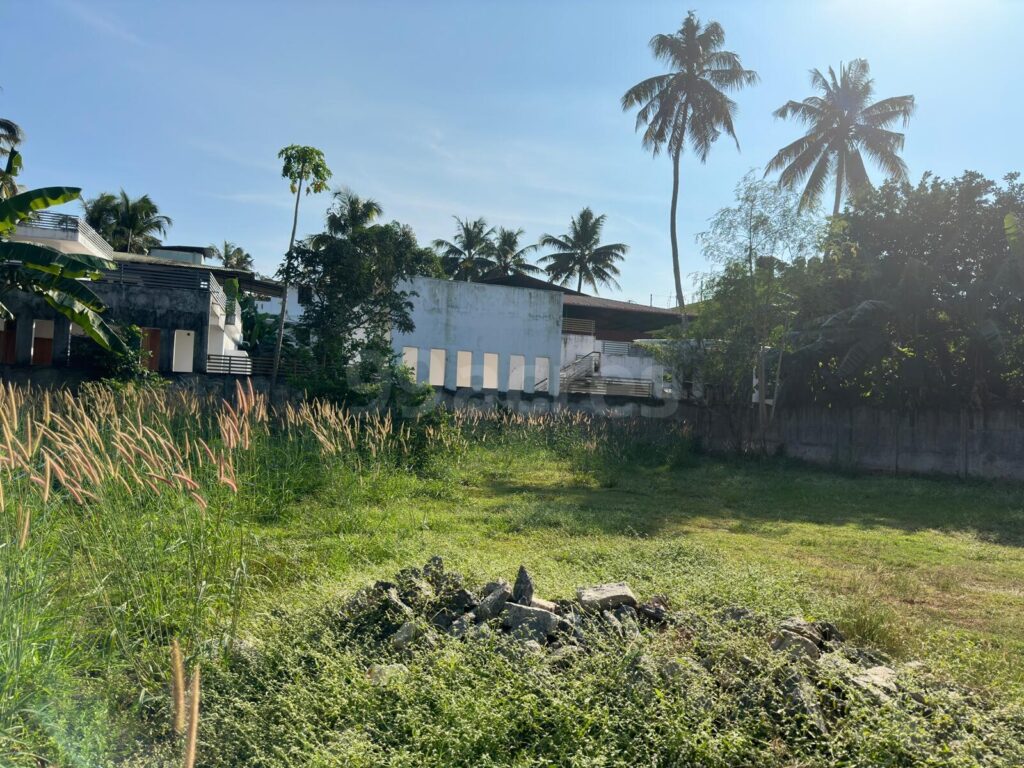 Land in Athani  2.42 lakh