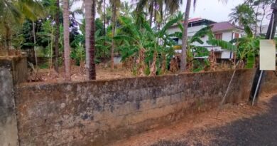 Residential Land for sale in Kalathode, Thrissur