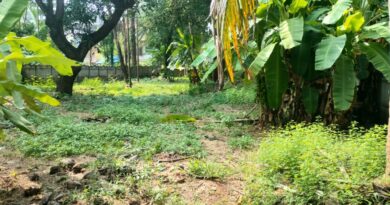 Residential Land for sale in Punkunnam Near harisree school,Thrissur