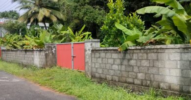 Residential Land of 6 cent for sale in Viyyur,Thrissur