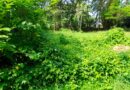 6 cent Residential land for sale in Avenue road,Thrissur