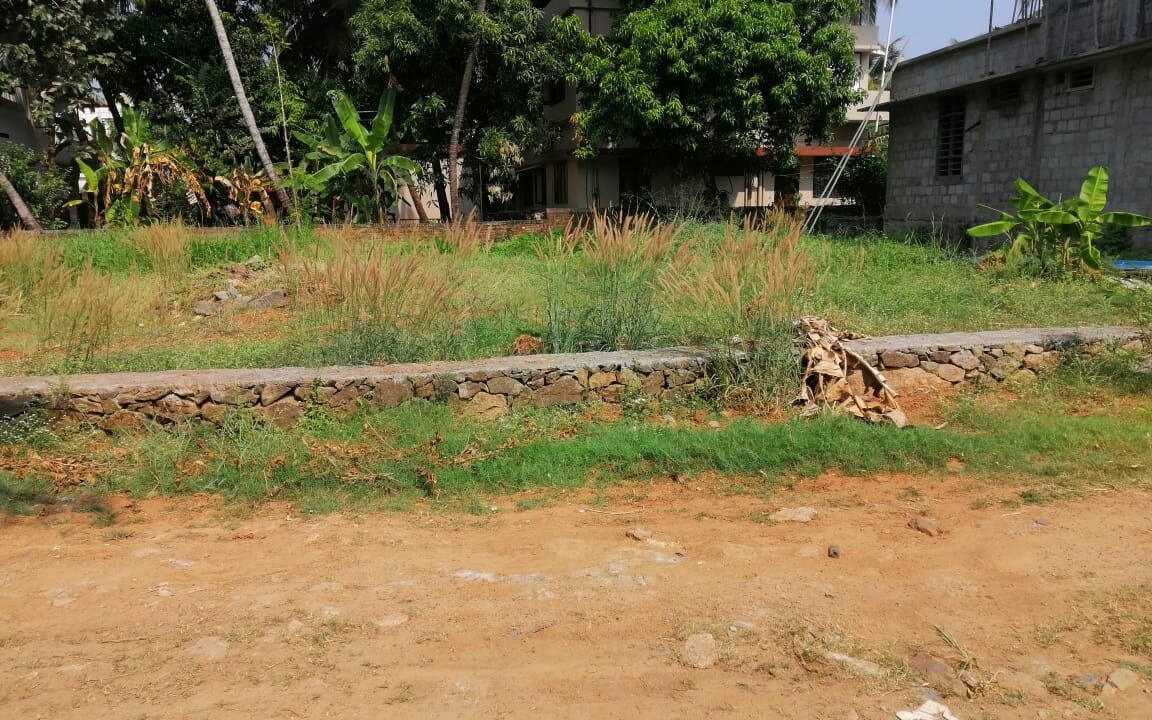 Avenueroad6cents57lakhs