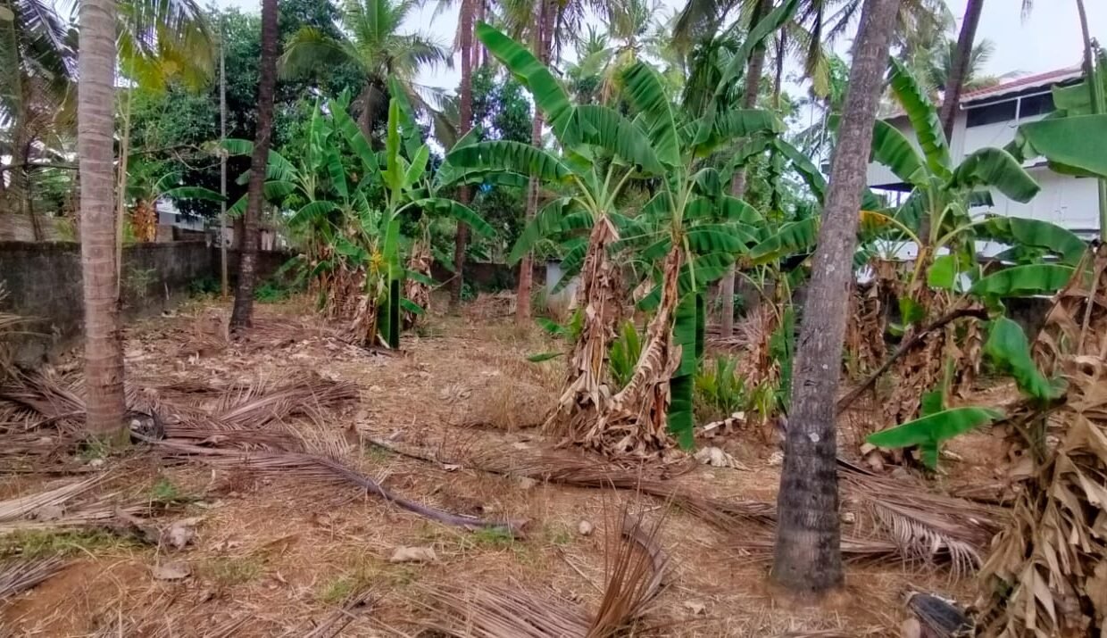 Kalathode Resi. land 10cent 12L2