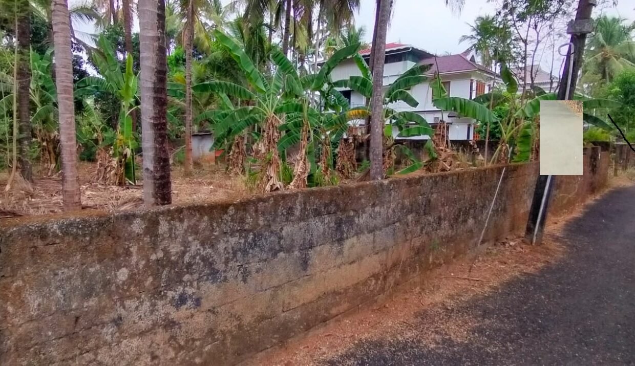 Kalathode Resi. land 10cent 12L3