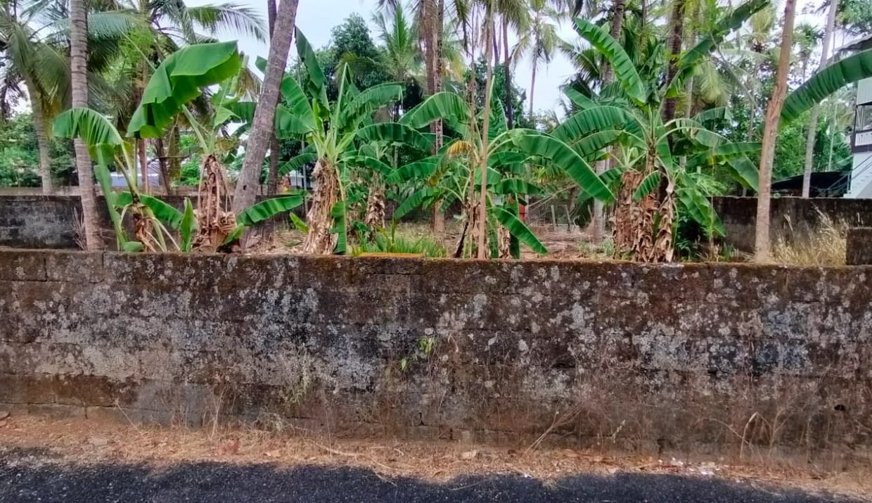 Kalathode Resi. land 10cent 12L5