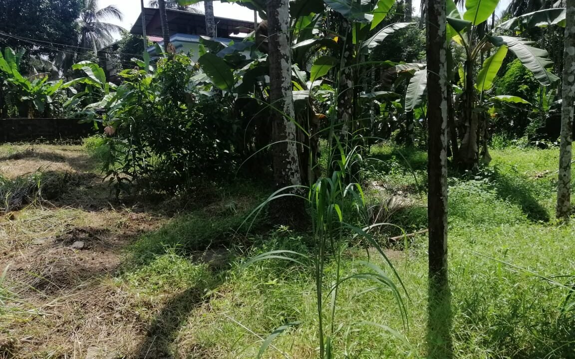Kodaly210cents2acre