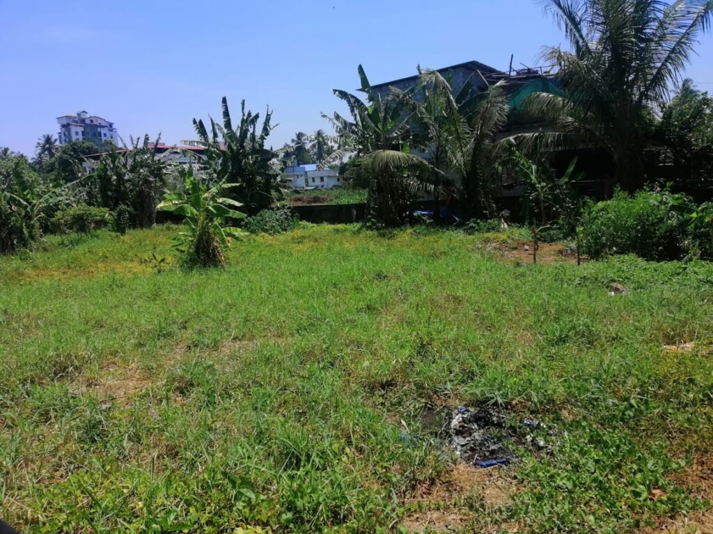 Residential Land for sale in Paravattani,Thrissur