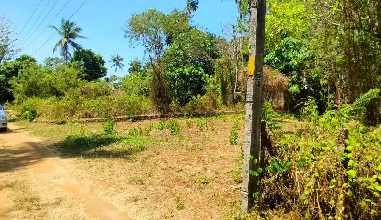 Poochatty Nadathara Land 8 cent 6.50 5