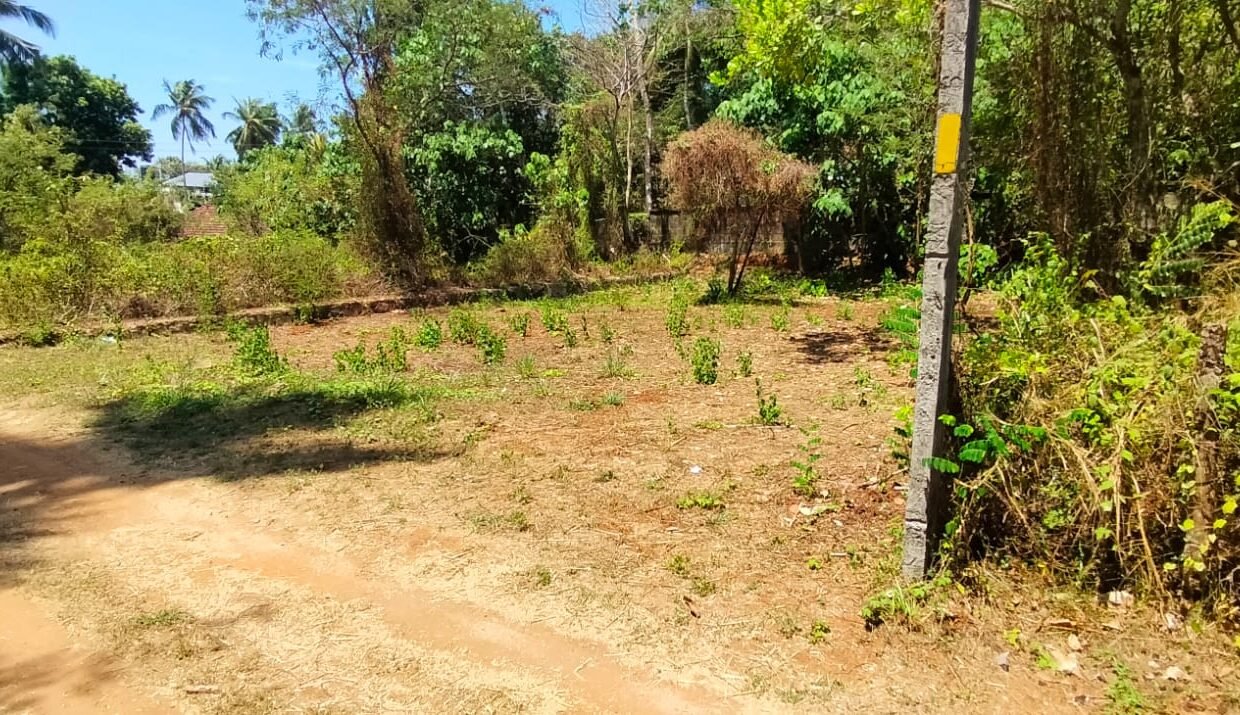 Poochatty Nadathara Land 8 cent 6.50 6