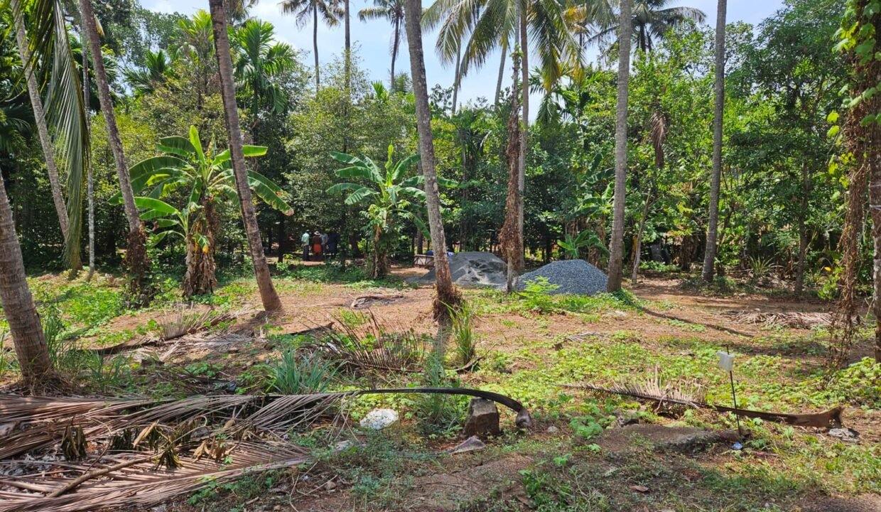 ollur_malakha_3