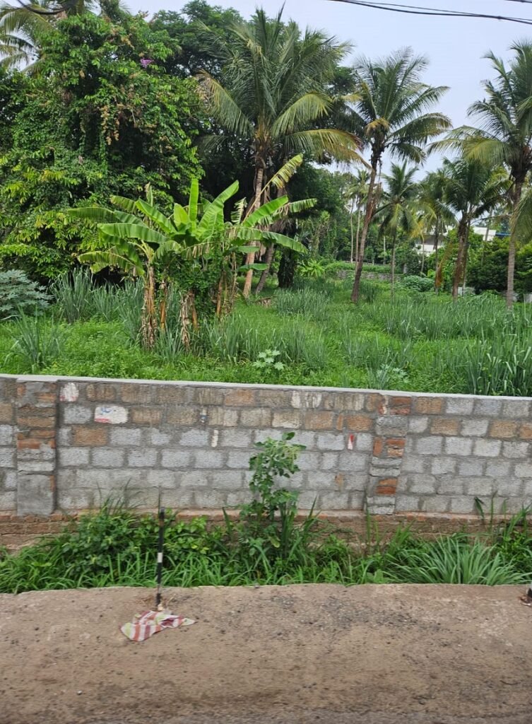 Land of 75 cent For sale in Marathakkara, Thrissur.