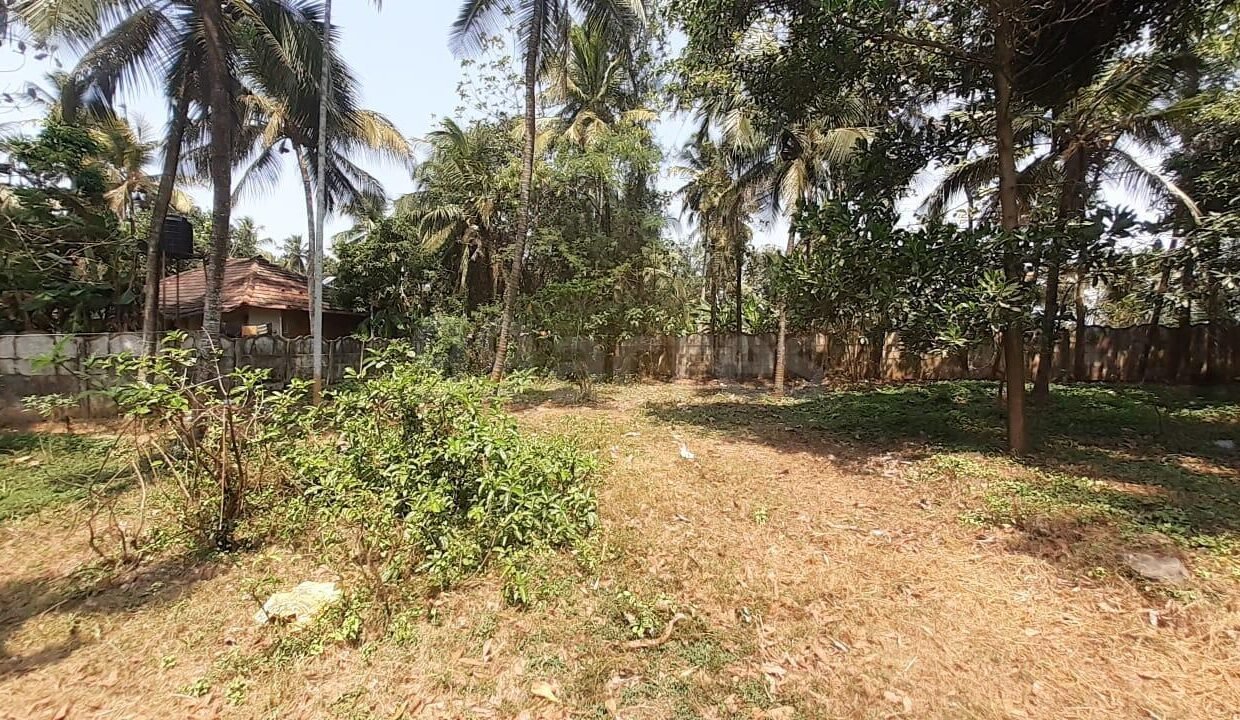 Mannuthy3.1cr2