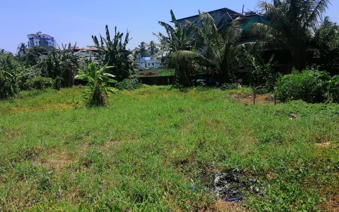 Paravattani 14 cents