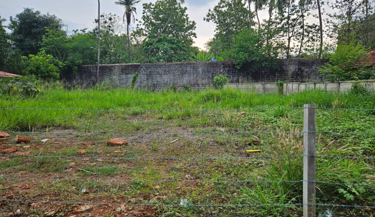 chembukkavu_16.50cent_12lac