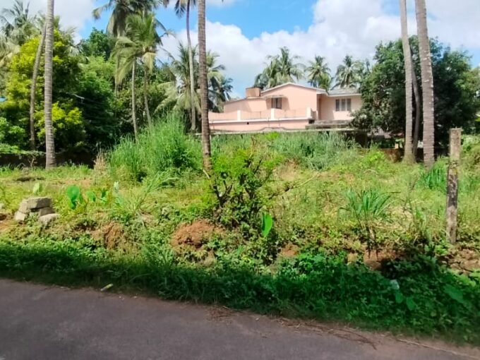 Residential Land-10.5 cent for sale in kuttanellur , Thrissur.