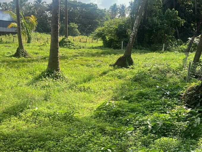 Residential Land-17 cent for sale in Cheroor, Panampilly, Thrissur.