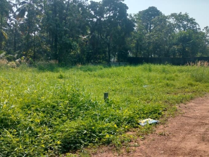 Residential land-8 cent  for sale in Nellikunnu ,  Thrisssur