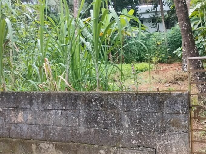 Residential Land-13 cent for sale in Viyyur, near highway, Thrissur.