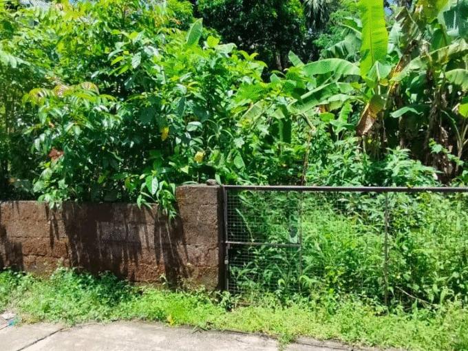 Residential Land-10 cent for sale near Kerala Varma college, Westfort, Thrissur.
