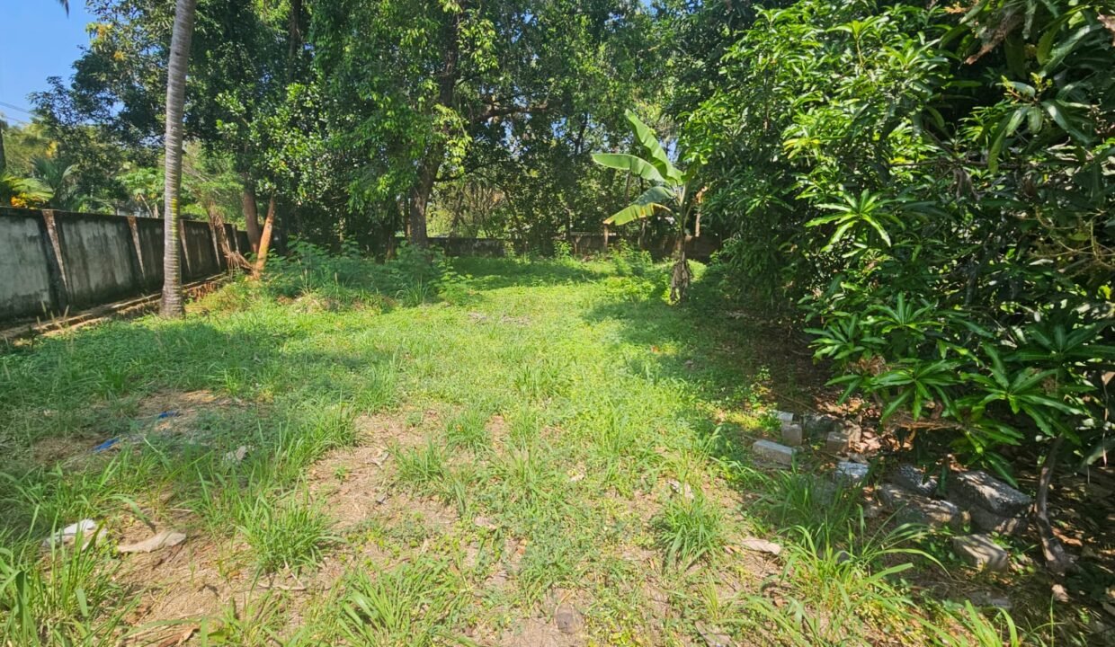 Chembukav 27 cent 14 L 2