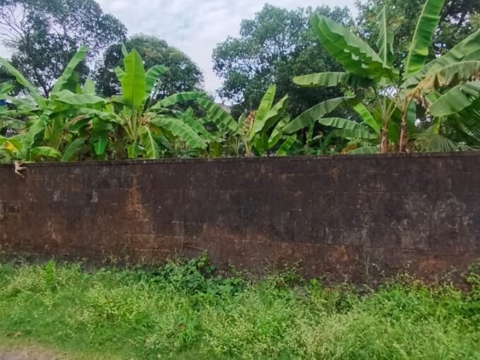 Residential Land (karabhoomi)-15 cent for sale in Chembukkavu, Thrisssur.