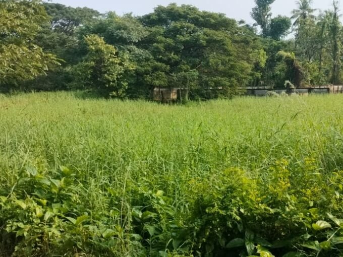 Land(karabhoomi)-20 cent for sale in chembukkavu, Thrissur.
