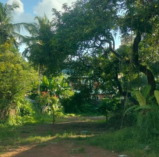 Residential Land-18 cent for sale in Chembukkavu- cherumukku, Thrissur.