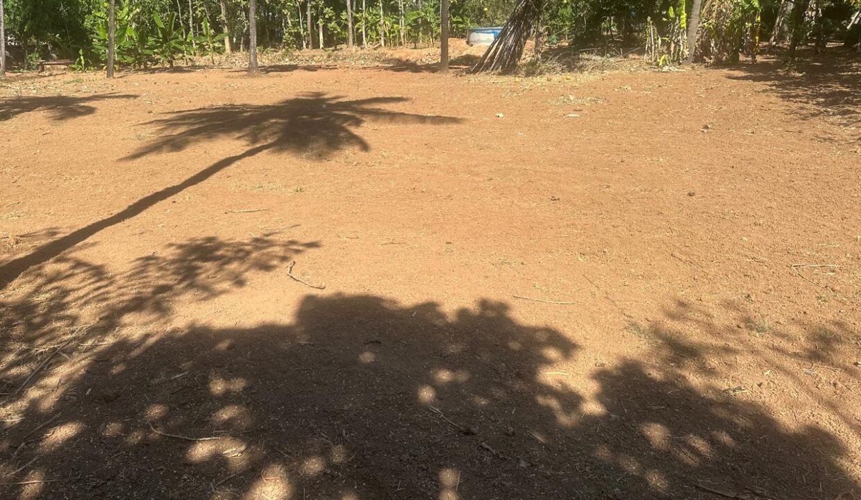 WhatsApp Image 2026-02-04 at 5.49.04 PM (1)