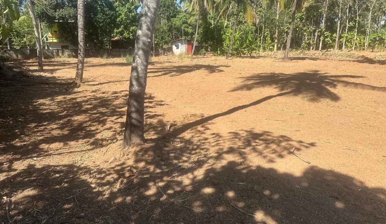 WhatsApp Image 2026-02-04 at 5.49.04 PM