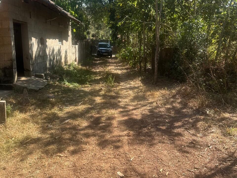 WhatsApp Image 2026-02-04 at 5.49.04 PM (2)