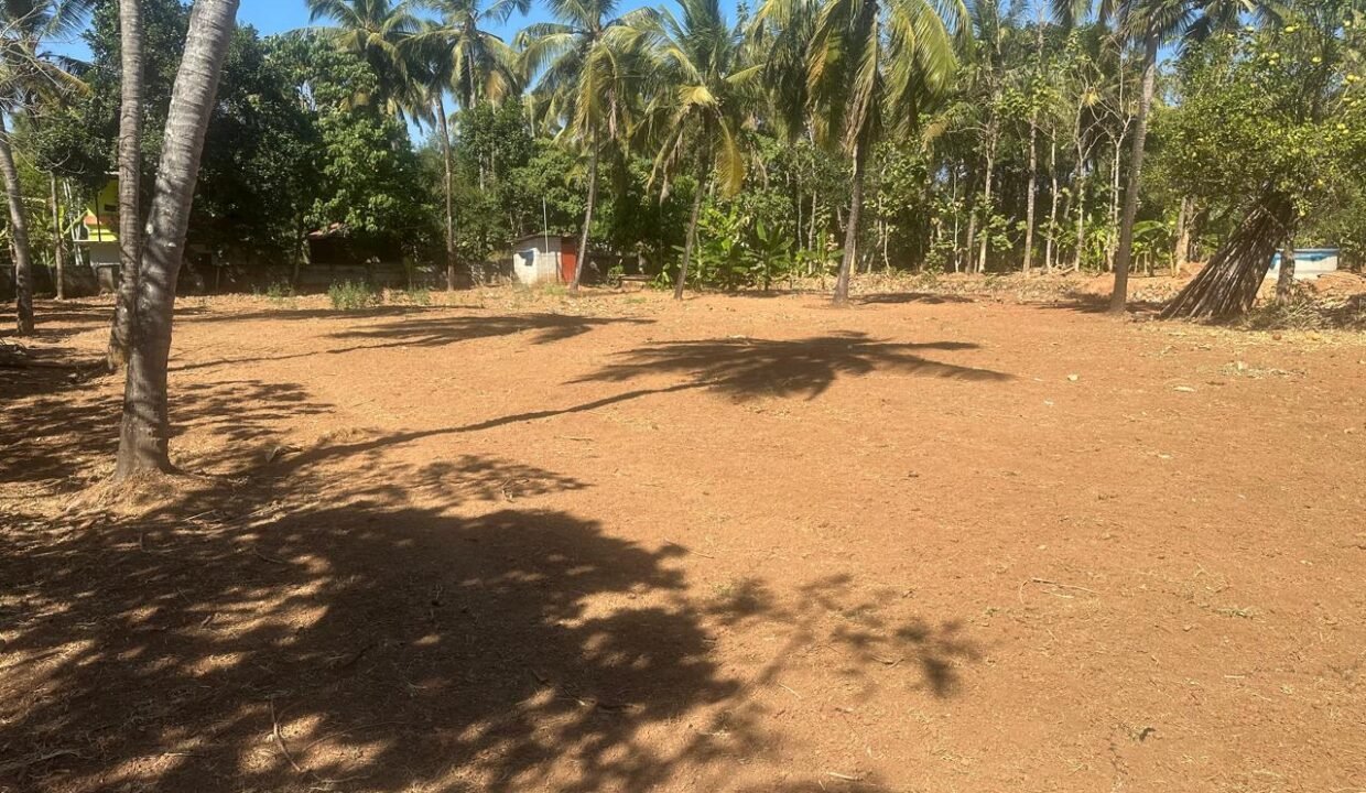 WhatsApp Image 2026-02-04 at 5.49.05 PM (1)