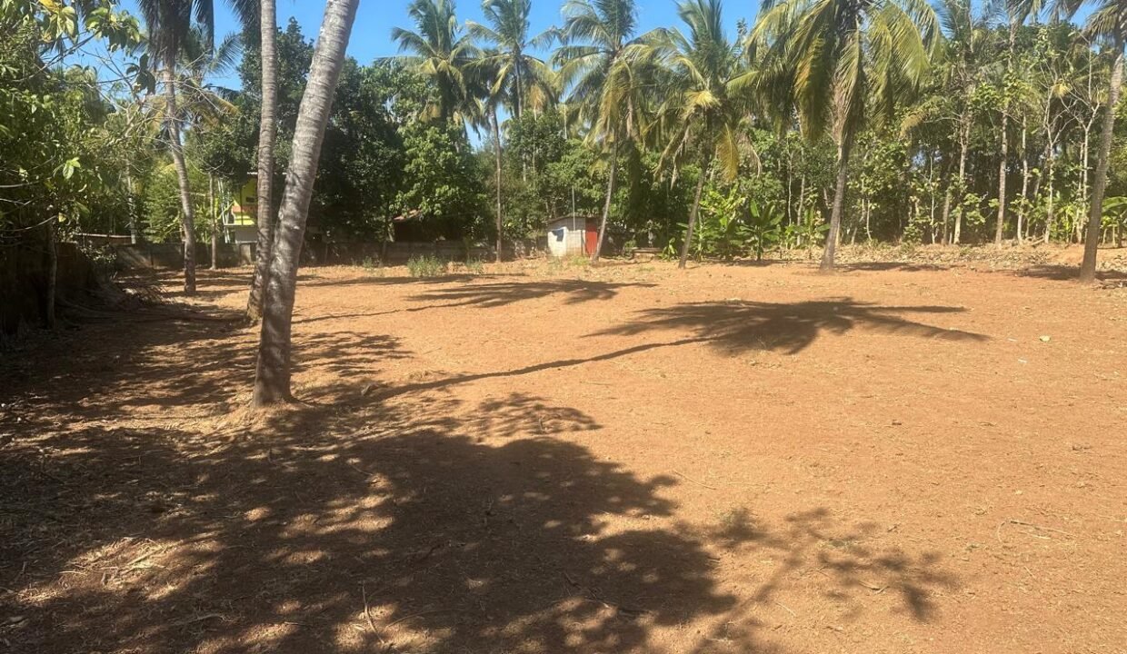 WhatsApp Image 2026-02-04 at 5.49.05 PM