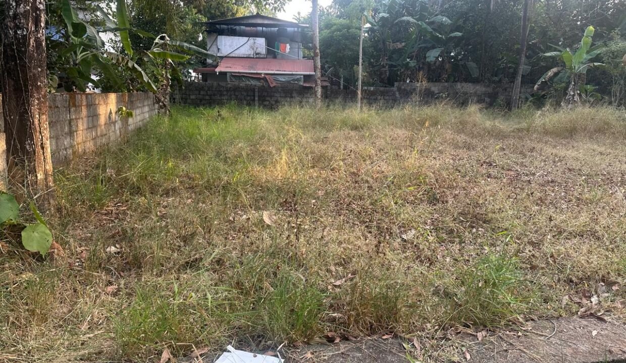 WhatsApp Image 2026-02-04 at 6.03.33 PM (1)