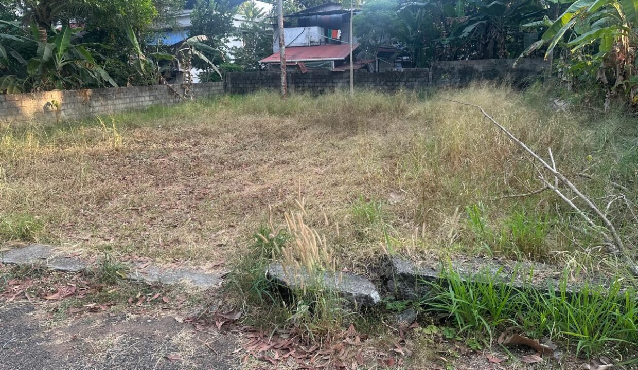 WhatsApp Image 2026-02-04 at 6.03.33 PM