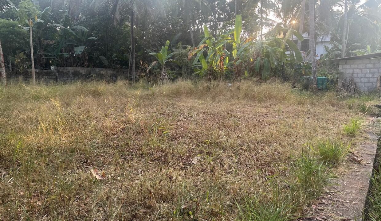 WhatsApp Image 2026-02-04 at 6.03.34 PM (1)