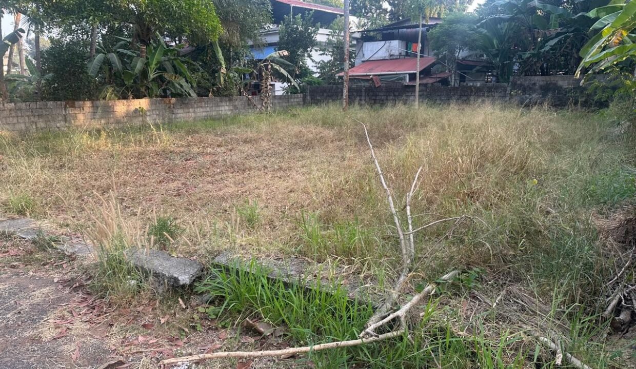 WhatsApp Image 2026-02-04 at 6.03.34 PM (2)