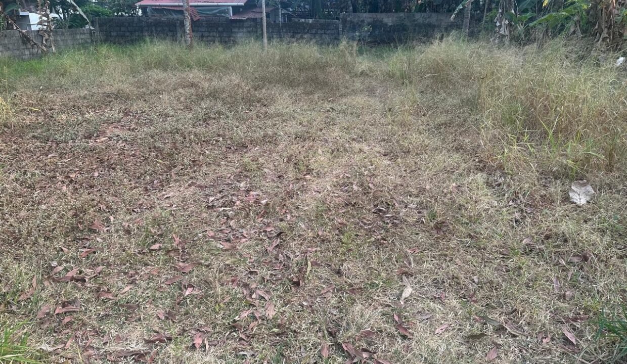 WhatsApp Image 2026-02-04 at 6.03.34 PM (3)