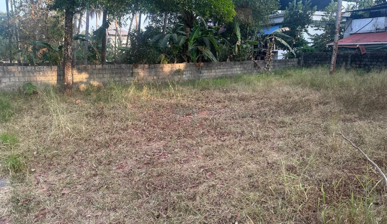 WhatsApp Image 2026-02-04 at 6.03.34 PM (4)