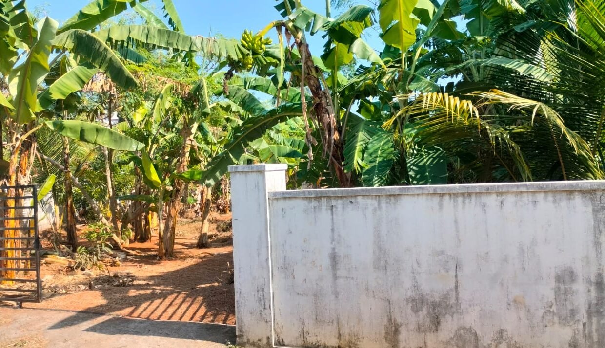 WhatsApp Image 2026-02-07 at 3.24.56 PM