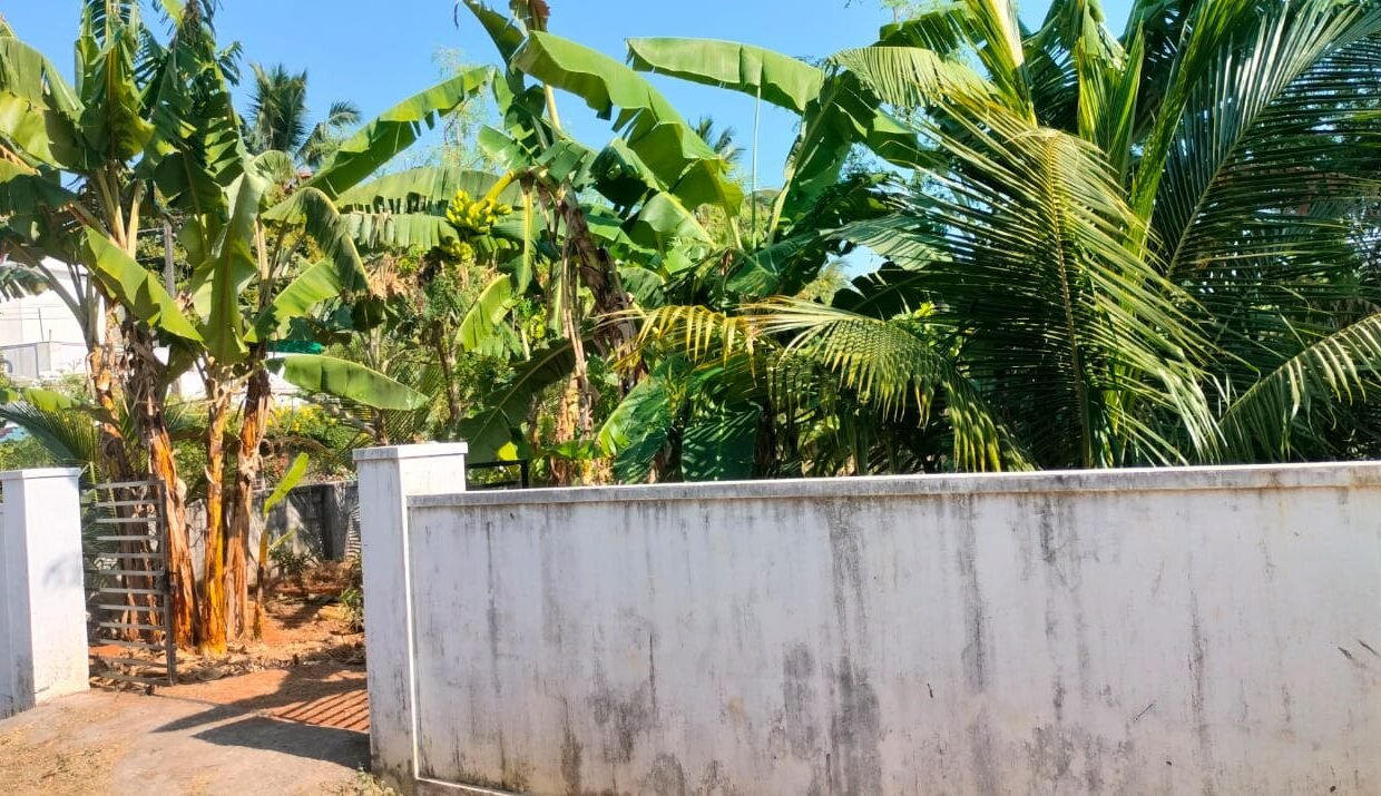 WhatsApp Image 2026-02-07 at 3.24.57 PM