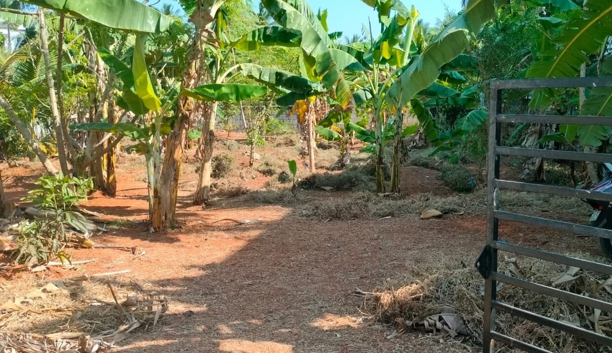 WhatsApp Image 2026-02-07 at 3.26.50 PM