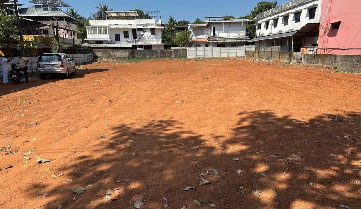 WhatsApp Image 2026-02-12 at 1.13.08 PM