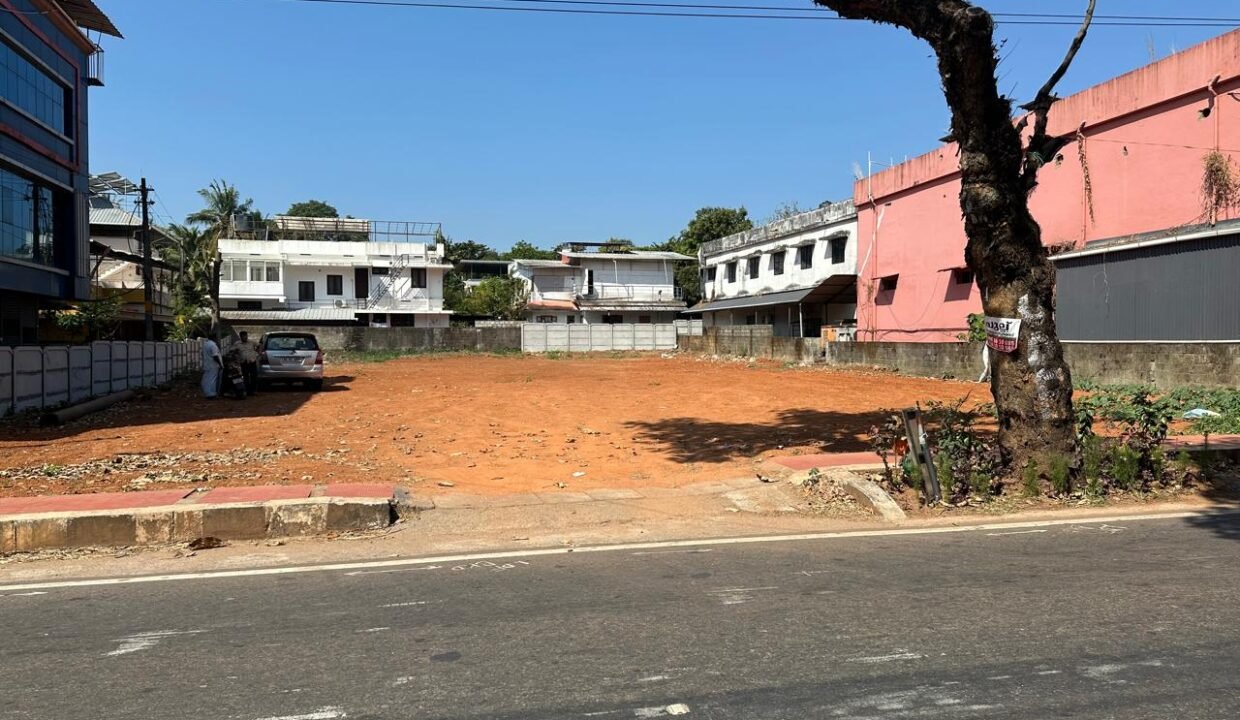 WhatsApp Image 2026-02-12 at 1.13.09 PM (1)