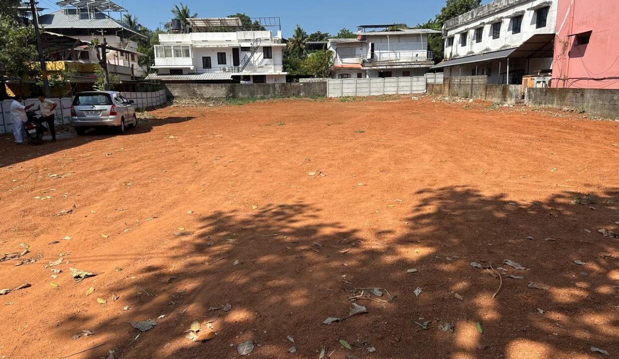 WhatsApp Image 2026-02-12 at 1.13.09 PM