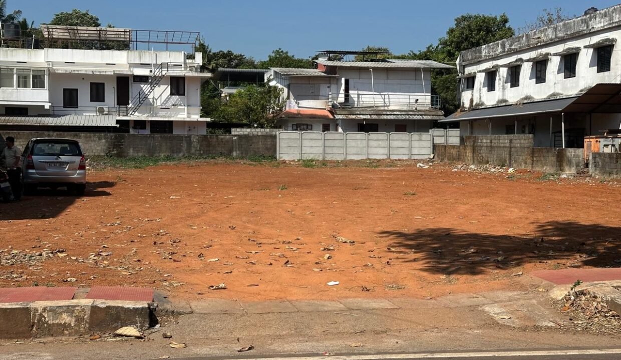 WhatsApp Image 2026-02-12 at 1.13.09 PM (2)