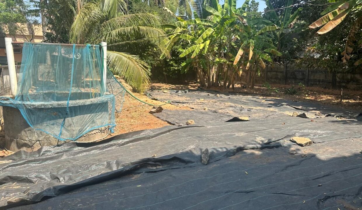 WhatsApp Image 2026-02-13 at 12.23.21 PM