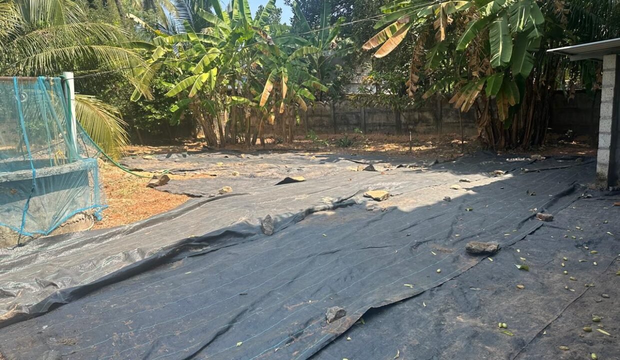 WhatsApp Image 2026-02-13 at 12.23.22 PM (1)