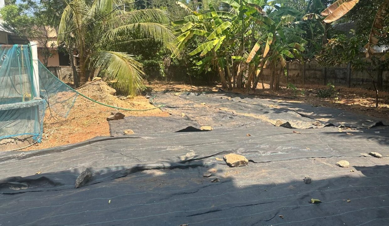 WhatsApp Image 2026-02-13 at 12.23.22 PM (2)