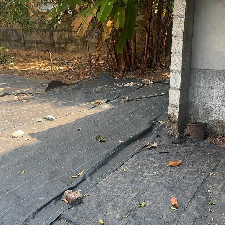 WhatsApp Image 2026-02-13 at 12.23.22 PM (3)