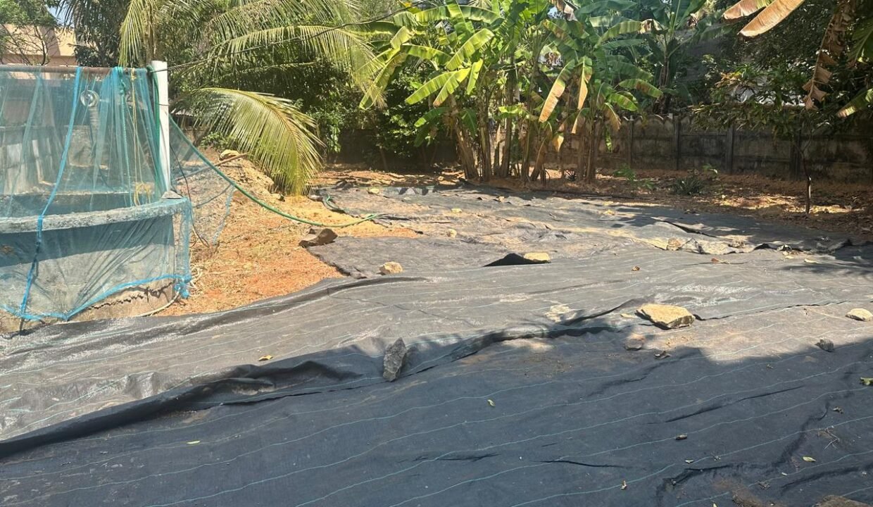 WhatsApp Image 2026-02-13 at 12.23.22 PM (4)